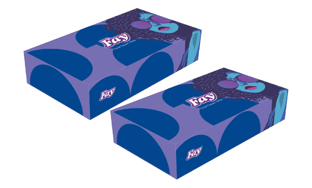 Fay Facial Tissues Décor Art