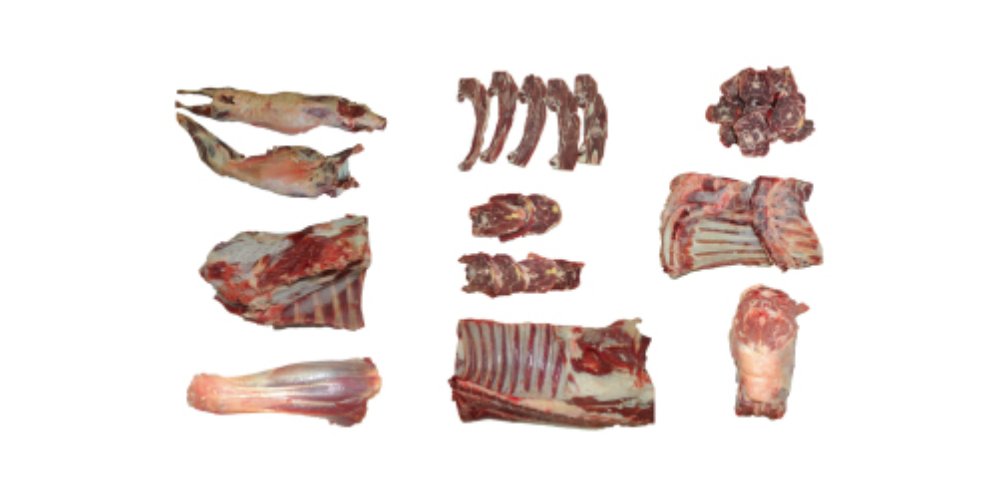 lamb cuts